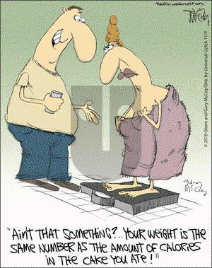 The Flying McCoys on Thursday November 4, 2010 Comic Strip