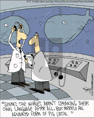 The Flying McCoys on Tuesday August 12, 2008 Comic Strip