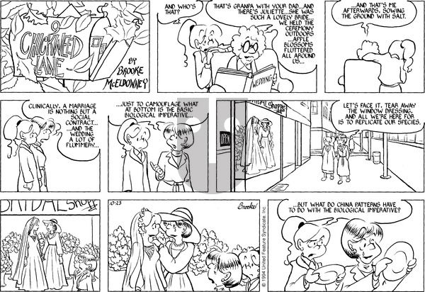 9 Chickweed Lane on Sunday October 23, 1994 Comic Strip