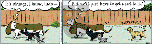 Fred Basset on Wednesday October 28, 2020 Comic Strip