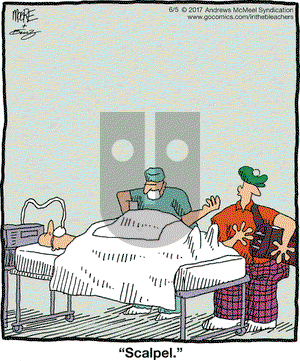 In the Bleachers on Monday June 5, 2017 Comic Strip