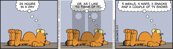 Garfield on Monday February 5, 2018 Comic Strip