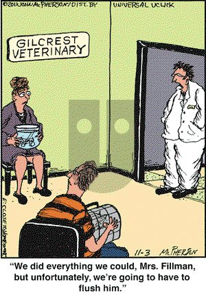 Close to Home on Thursday November 3, 2011 Comic Strip