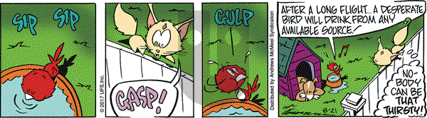 Rose is Rose on Monday August 21, 2017 Comic Strip