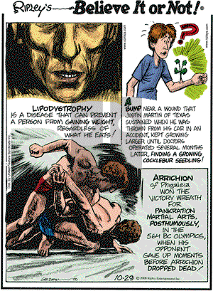 Ripley's Believe It or Not on Wednesday October 29, 2008 Comic Strip