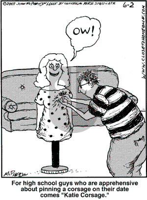 Close to Home on Saturday June 2, 2007 Comic Strip