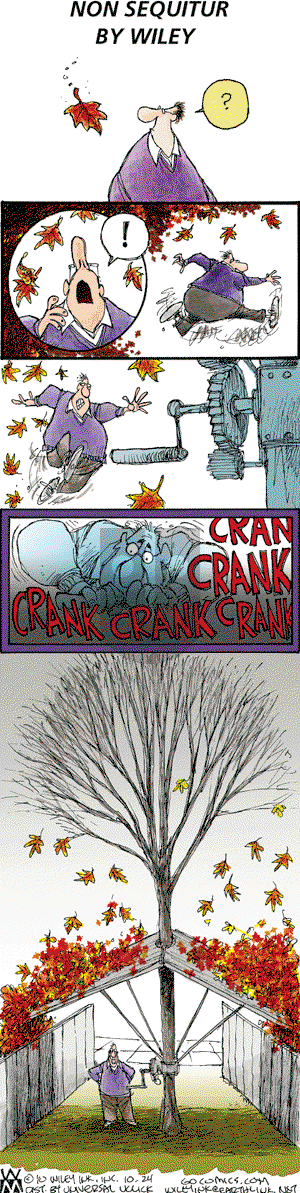 Non Sequitur on Sunday October 24, 2010 Comic Strip
