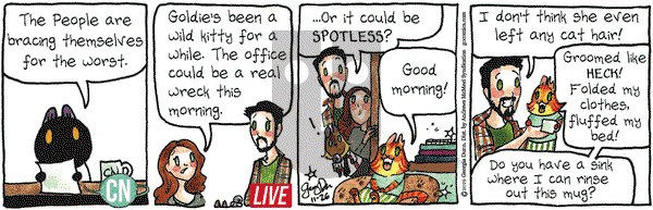 Breaking Cat News on Tuesday November 26, 2019 Comic Strip