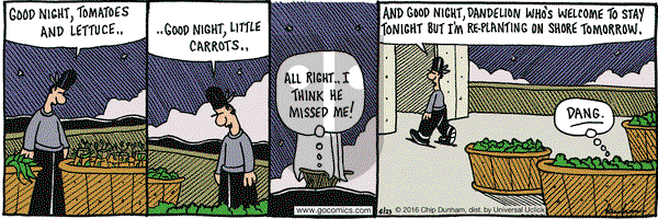 Overboard on Thursday June 23, 2016 Comic Strip