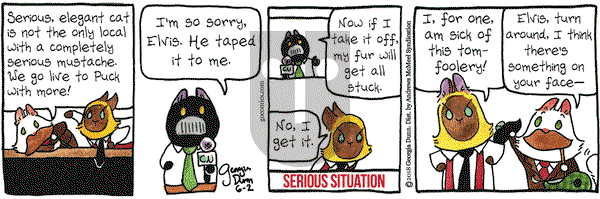 Breaking Cat News on Saturday June 2, 2018 Comic Strip