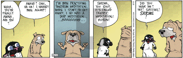 Get Fuzzy on Friday August 10, 2007 Comic Strip