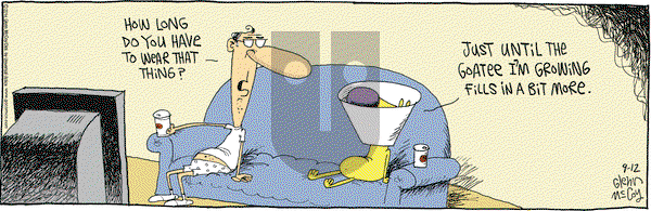 The Duplex on Friday September 12, 2014 Comic Strip