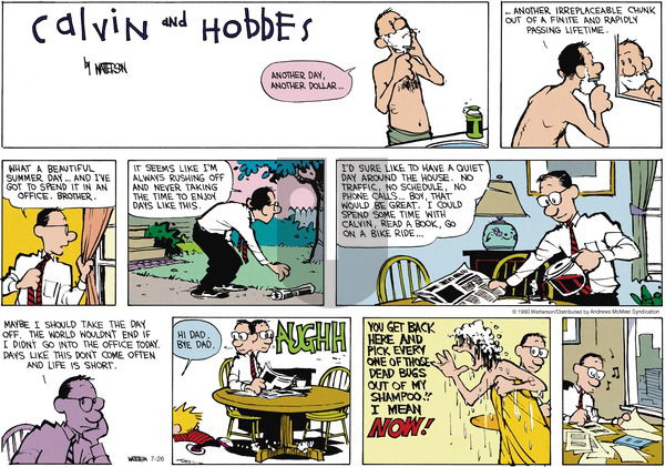 Calvin and Hobbes - Sunday July 26, 2020 Comic Strip