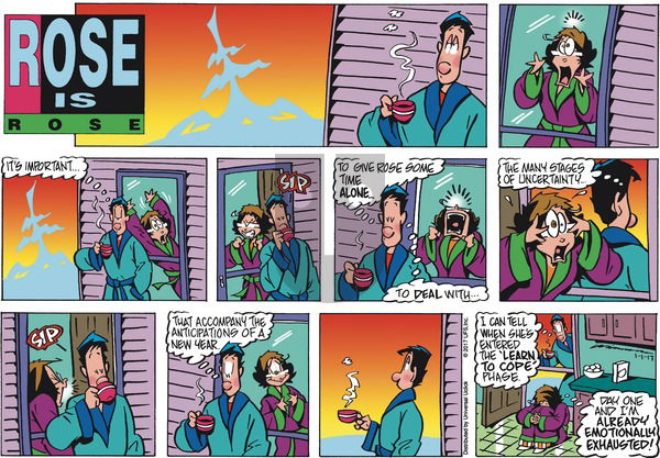 Rose is Rose on Sunday January 1, 2017 Comic Strip