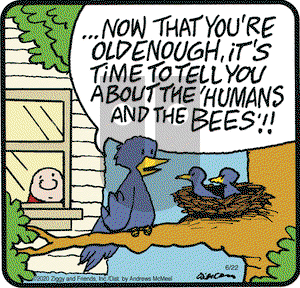 Ziggy on Monday June 22, 2020 Comic Strip