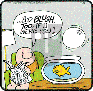 Ziggy on Wednesday November 12, 2014 Comic Strip