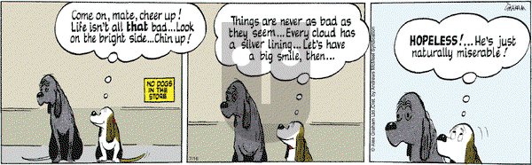 Fred Basset - Tuesday July 16, 2024 Comic Strip