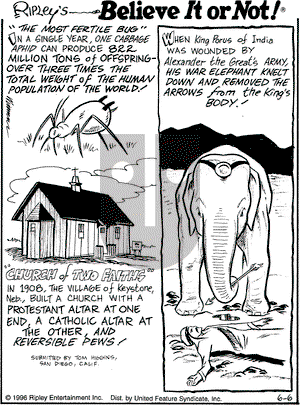 Ripley's Believe It or Not on Thursday June 6, 1996 Comic Strip