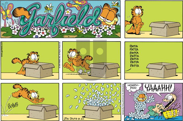 Garfield on Sunday August 20, 2006 Comic Strip