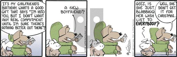 DeFlocked on Friday January 28, 2011 Comic Strip