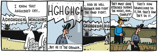 Overboard on Tuesday July 26, 2011 Comic Strip