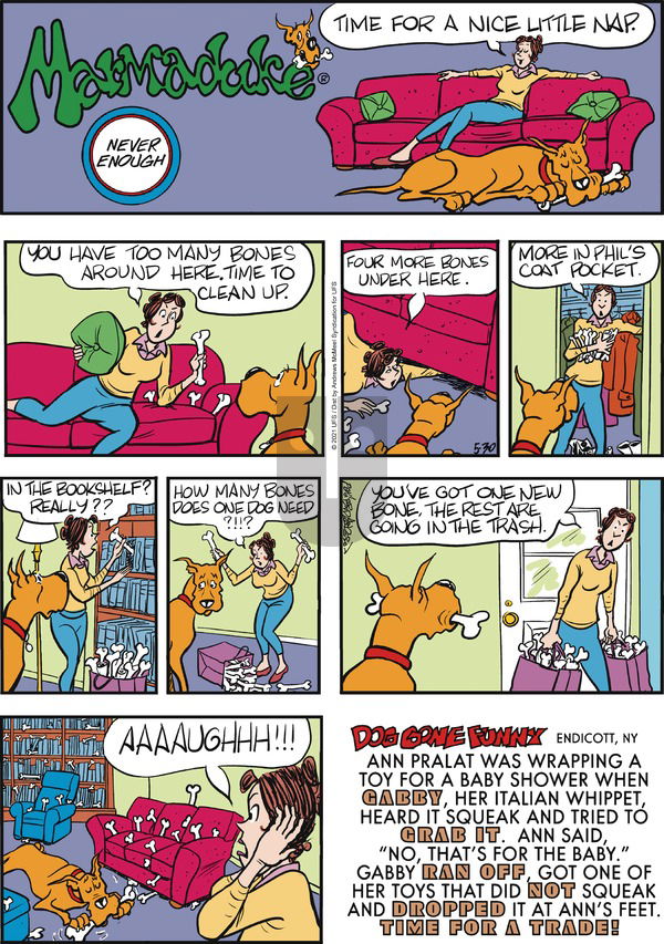 Marmaduke on Sunday May 30, 2021 Comic Strip