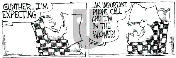 The Grizzwells on Thursday February 20, 2003 Comic Strip