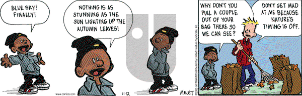 Frazz on Wednesday November 12, 2008 Comic Strip