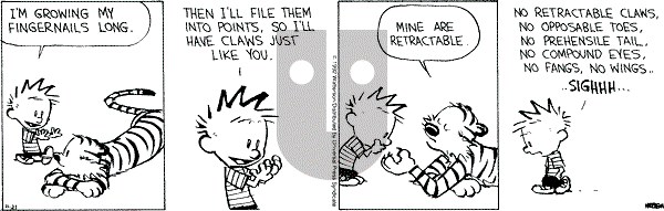 Calvin and Hobbes - Saturday November 21, 1992 Comic Strip