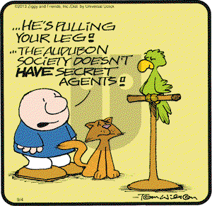Ziggy on Wednesday September 4, 2013 Comic Strip