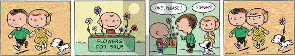 Peanuts Begins - Friday November 24, 2023 Comic Strip