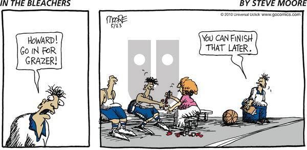 In the Bleachers on Sunday May 23, 2010 Comic Strip
