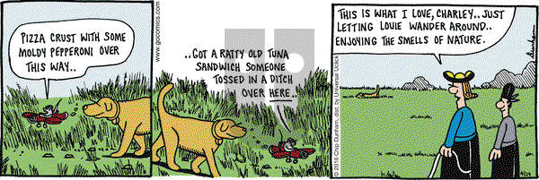Overboard on Friday April 29, 2016 Comic Strip