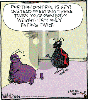 Reality Check on Tuesday December 29, 2020 Comic Strip