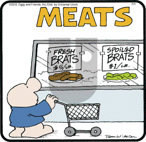 Ziggy on Friday July 1, 2016 Comic Strip