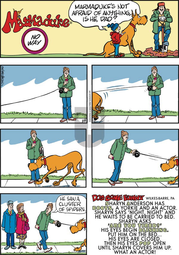 Marmaduke on Sunday February 9, 2020 Comic Strip