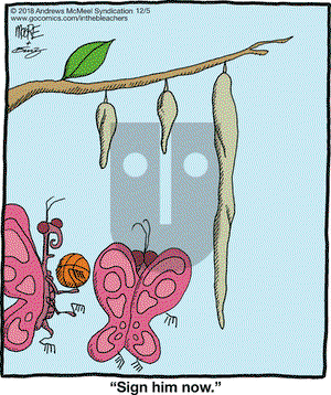 In the Bleachers on Wednesday December 5, 2018 Comic Strip