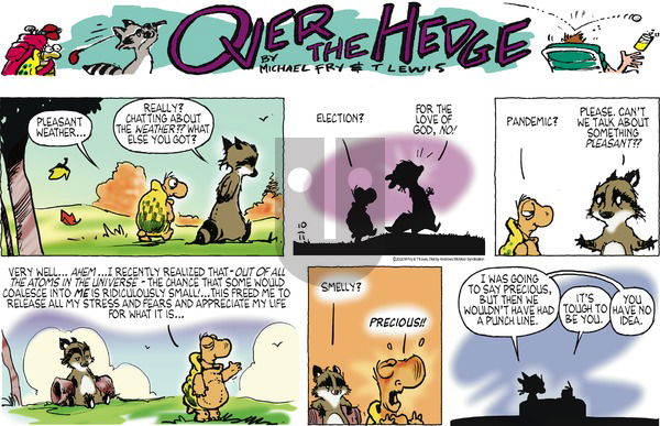 Over the Hedge on Sunday October 11, 2020 Comic Strip