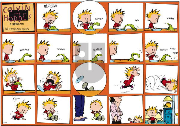 Calvin and Hobbes on Sunday September 27, 1992 Comic Strip