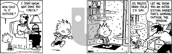 Calvin and Hobbes - Wednesday January 3, 1990 Comic Strip