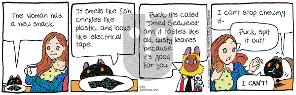 Breaking Cat News on Monday June 26, 2017 Comic Strip