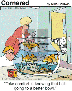 Cornered on Saturday February 16, 2019 Comic Strip