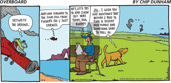 Overboard on Sunday May 5, 2019 Comic Strip