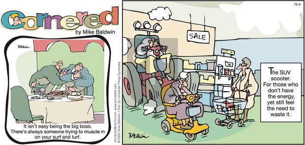 Cornered on Sunday December 4, 2005 Comic Strip