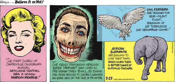 Ripley's Believe It or Not on Sunday May 23, 2021 Comic Strip