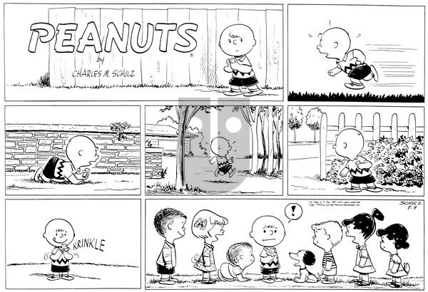 Peanuts on Sunday August 9, 1953 Comic Strip