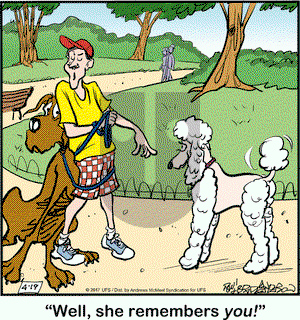 Marmaduke on Wednesday April 19, 2017 Comic Strip