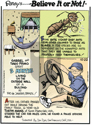 Ripley's Believe It or Not on Thursday October 22, 2009 Comic Strip
