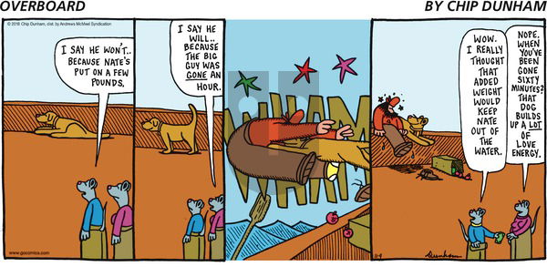 Overboard on Sunday November 4, 2018 Comic Strip