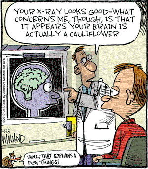 Reality Check on Saturday September 28, 2019 Comic Strip